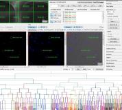 Big Data for small cells - neue Software zur Beobachtung einzelner Zellen