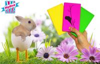 HipDisk: originelle Geschenkidee für das Osternest