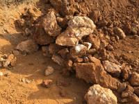 Pasinex Resources verstärkt sich mit Experten John Barry als VP of Exploration