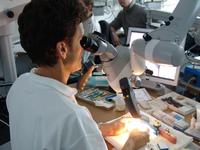 Dentalfachhändler JADENT in Aalen engagiert sich für die Endodontie-Fortbildung am Mikroskop Training Center MTC Aalen