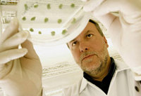 Biotechnologie erhöht den Ertrag in der Landwirtschaft