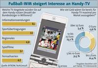 Handy-TV mobilisiert die Massen