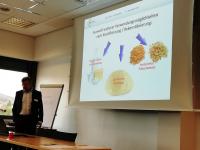 Pflanzliche Nebenprodukte, Pilze, Algen, Insekten - Wertvolle und umweltfreundliche Protein-Alternativen!