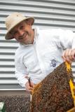 Honigernte bei Hermes Fulfilment in Ohrdruf beginnt