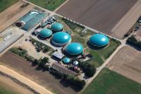 Erfolgreicher Versuch: Zuckerrüben für die Biogasproduktion