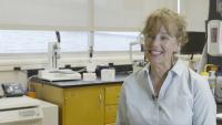 Automatisierte Entwicklung zellbasierter Assays für frühe Entwicklungsphasen