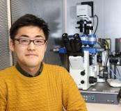 Untersuchung von Mechanotransduktionsmechanismen mit dem JPK NanoWizard® Rasterkraftmikroskop an der Universität Kyoto, Japan