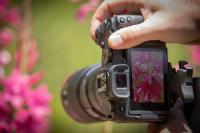 Canon auf den diesjährigen Fotofestivals: »horizonte zingst«, Photo+Adventure und Oberstdorfer Fotogipfel