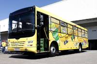 MAN Bus wirbt für Fußball-WM in Südafrika