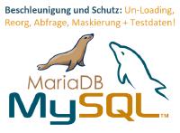 ❌ MySQL & MariaDB ❌ Schnellere und sichere Datenbank dank bewährter Lösung für zeitaufwendige Probleme ❗