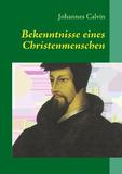 Bible-Domains: Calvin.Bible als Anwendungsbeispiel