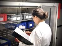 DSI-pharm expands storage capacities by the WHO climate zone IVb