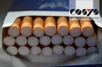 Tabak Track and Trace gemäß Tobacco Products Directive (TPD)