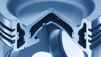 Piston innovation as a module for Euro 6