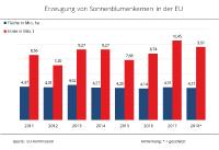 Überraschend gute Sonnenblumenernte