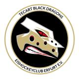 „TecArt Black Dragons“ bauen auch in der 4. Saison auf solide Teamarbeit