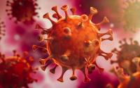 Drei Strategien, die Ihrer Lieferkette helfen, den Coronavirus zu überleben
