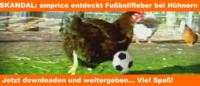 amprice.de entdeckt Fussballfieber bei Hühnern