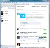 Skype-Software wird "sozial"
