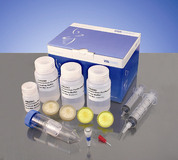 Höhere Adenovirus-Bindungskapazität