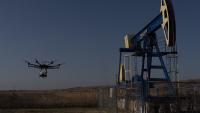 Im Flug erwischt