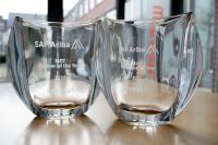 Titel erfolgreich verteidigt: apsolut ist wieder ‚SAP Ariba Partner of the Year‘ in der MEE-Region