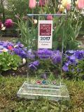 Axis erhält "Bayerns Beste Arbeitgeber 2017" Auszeichnung