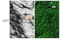 Aurania Identifies Another Possible Ancient Road in LiDAR Data
