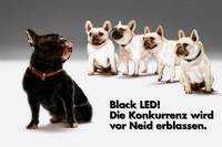 LED-Technologie neu und einzigartig: Die 6mm Black-LED Module mit 2000 Nit von Mitsubishi