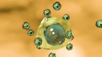 contactpointnano.ch hilft bei Fragen zu Nanomaterialien