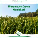 Das Tierwohl im Blick – P3N unterstützt nachhaltige, regionale Schweinezucht
