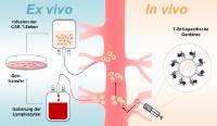 CAR-T-Zellen in vivo erzeugt