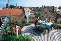 Frühlingsbalkon: Treiben Sie es bunt