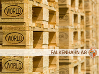 Eine günstige Alternative zur Europalette: Die neue WORLD Palette bringt Bewegung in den Logistikmarkt
