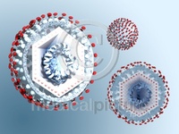 Hepatitis form A to Z