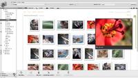 Fotografen-Shopsystem in neuer Version