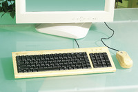 Die neue Optik für den Schreibtisch: Bambusgehäuse für Tastatur und Maus!