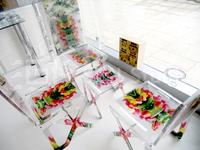IQDEMY launches sales department for SUN Studio ready-made business abroad
