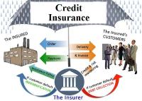 Credit Insurance Market with Attractiveness, Competitive Landscape, Revenue Analysis and Global Forecasts to 2022