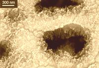 Einsatz von Nanomaterialien in der Wasseraufreinigung