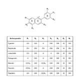 Analytik von sekundären Pflanzenstoffen (Teil 3: Polyphenole)