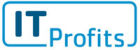 IT Profits 2010