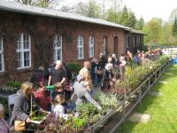 Pflanzenbasar & Ausstellung "Liebhaberkeramik für Gartenfreunde"