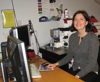Untersuchungen von biologischen Makromolekülen mit dem JPK NanoTracker™ Optical Tweezers System am NTNU Trondheim in Norwegen