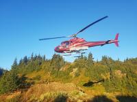 Skeena Resources: Deutscher Investor erhöht Anteil