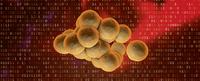 Gemeinsam fürs Patientenwohl: Mathematiker und Mediziner wollen Diagnose und Therapie der Sepsis verbessern