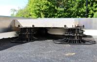 New Elefeet “on track for success”