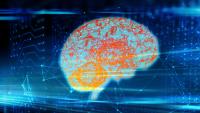 Machine Learning – Datenoase anstatt Datenflut