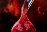 Melting reveals drug targets in a living organism - EMBL scientists identify drug targets in blood and organs