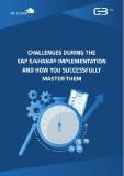 Whitepaper: Successfully master the SAP S/4HANA implementation with process management